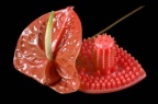 Vibromasseur de clitoris et anthurium 2
