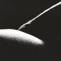 Suivez la flèche 03