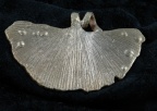 Argent