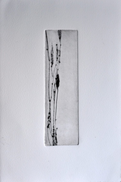 Herb-hier 06.jpg