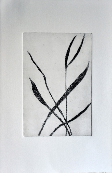 Herb-hier 07.jpg