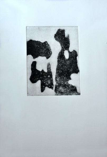 Plat-Anes 03.JPG