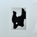 Plat-Anes 04