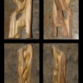 Janus vue d'ensemble