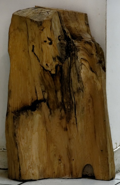 DSC_5375 P.jpg